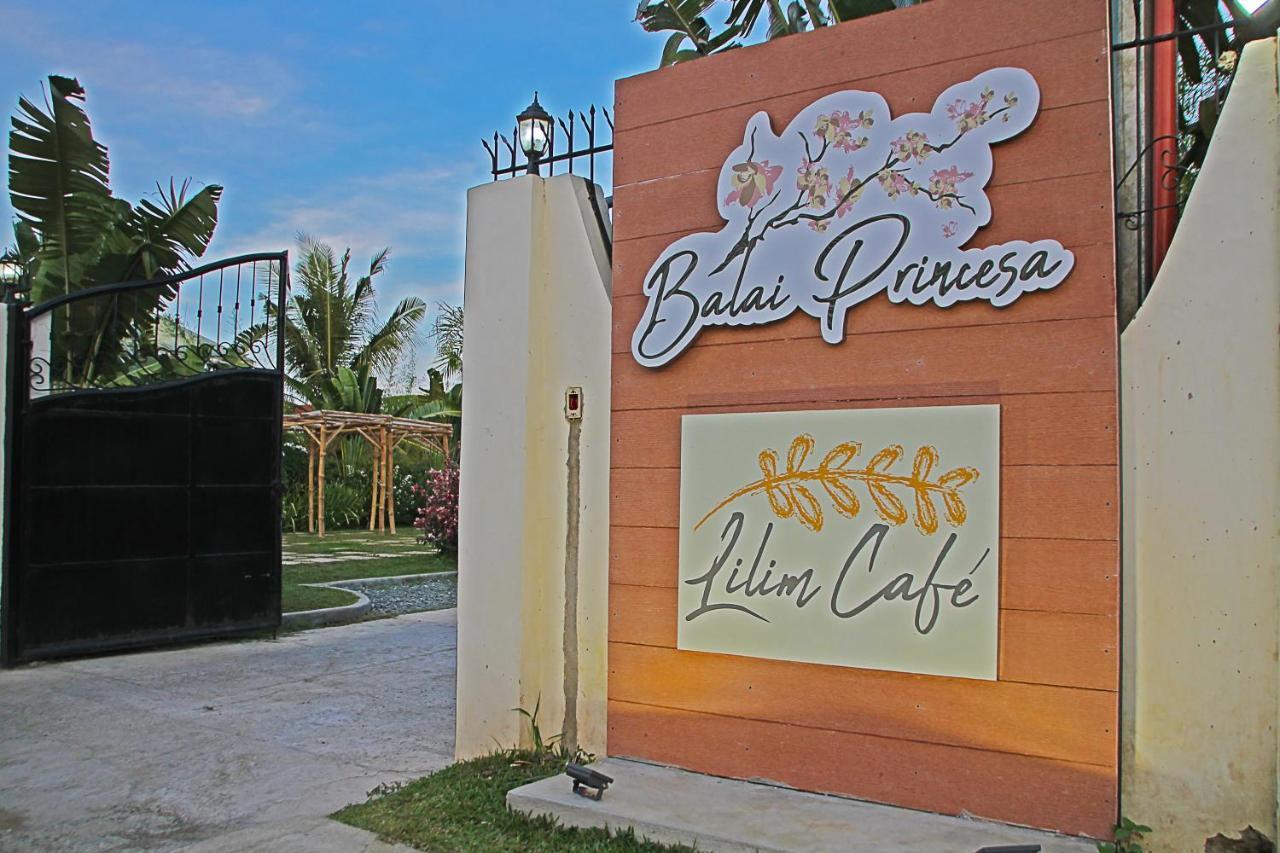 บาไล พรินซ์ซ่า Bed & Breakfast Puerto Princesa ภายนอก รูปภาพ